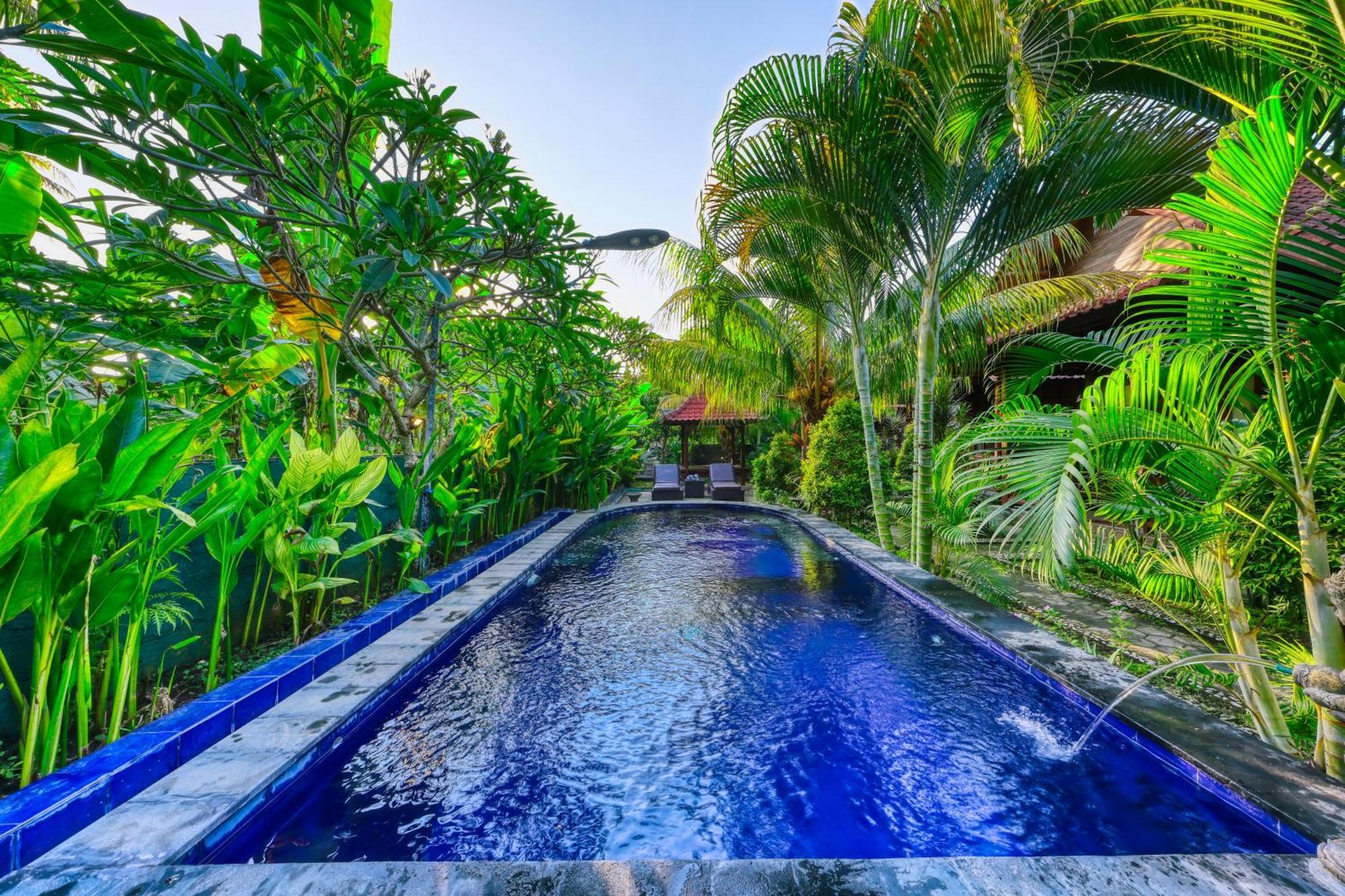 Asoka Bungalows Ped Extérieur photo