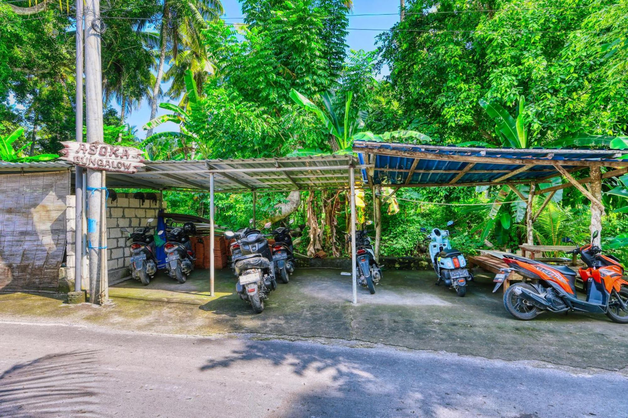 Asoka Bungalows Ped Extérieur photo